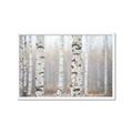 Picture of Birch forest in fog I _GroupedProduct_Rectangle_Landscape_Photography _GroupedProduct_Rectangle_Landscape_Framed_Matted_