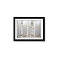 Picture of Birch forest in fog I _GroupedProduct_Rectangle_Landscape_Photography _GroupedProduct_Rectangle_Landscape_Framed_Matted_