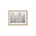 Picture of Birch forest in fog I _GroupedProduct_Rectangle_Landscape_Photography _GroupedProduct_Rectangle_Landscape_Framed_Matted_