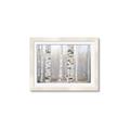 Picture of Birch forest in fog I _GroupedProduct_Rectangle_Landscape_Photography _GroupedProduct_Rectangle_Landscape_Framed_Matted_