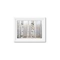 Picture of Birch forest in fog I _GroupedProduct_Rectangle_Landscape_Photography _GroupedProduct_Rectangle_Landscape_Framed_Matted_