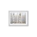 Picture of Birch forest in fog I _GroupedProduct_Rectangle_Landscape_Photography _GroupedProduct_Rectangle_Landscape_Framed_Matted_