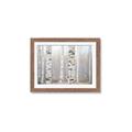 Picture of Birch forest in fog I _GroupedProduct_Rectangle_Landscape_Photography _GroupedProduct_Rectangle_Landscape_Framed_Matted_