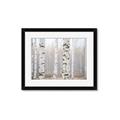 Picture of Birch forest in fog I _GroupedProduct_Rectangle_Landscape_Photography _GroupedProduct_Rectangle_Landscape_Framed_Matted_