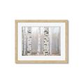 Picture of Birch forest in fog I _GroupedProduct_Rectangle_Landscape_Photography _GroupedProduct_Rectangle_Landscape_Framed_Matted_