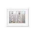 Picture of Birch forest in fog I _GroupedProduct_Rectangle_Landscape_Photography _GroupedProduct_Rectangle_Landscape_Framed_Matted_