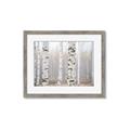 Picture of Birch forest in fog I _GroupedProduct_Rectangle_Landscape_Photography _GroupedProduct_Rectangle_Landscape_Framed_Matted_