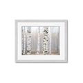 Picture of Birch forest in fog I _GroupedProduct_Rectangle_Landscape_Photography _GroupedProduct_Rectangle_Landscape_Framed_Matted_