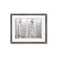 Picture of Birch forest in fog I _GroupedProduct_Rectangle_Landscape_Photography _GroupedProduct_Rectangle_Landscape_Framed_Matted_