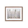 Picture of Birch forest in fog I _GroupedProduct_Rectangle_Landscape_Photography _GroupedProduct_Rectangle_Landscape_Framed_Matted_
