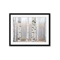 Picture of Birch forest in fog I _GroupedProduct_Rectangle_Landscape_Photography _GroupedProduct_Rectangle_Landscape_Framed_Matted_