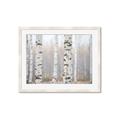 Picture of Birch forest in fog I _GroupedProduct_Rectangle_Landscape_Photography _GroupedProduct_Rectangle_Landscape_Framed_Matted_