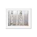 Picture of Birch forest in fog I _GroupedProduct_Rectangle_Landscape_Photography _GroupedProduct_Rectangle_Landscape_Framed_Matted_