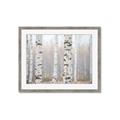 Picture of Birch forest in fog I _GroupedProduct_Rectangle_Landscape_Photography _GroupedProduct_Rectangle_Landscape_Framed_Matted_