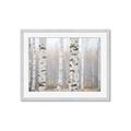Picture of Birch forest in fog I _GroupedProduct_Rectangle_Landscape_Photography _GroupedProduct_Rectangle_Landscape_Framed_Matted_
