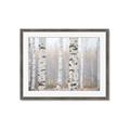 Picture of Birch forest in fog I _GroupedProduct_Rectangle_Landscape_Photography _GroupedProduct_Rectangle_Landscape_Framed_Matted_