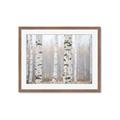 Picture of Birch forest in fog I _GroupedProduct_Rectangle_Landscape_Photography _GroupedProduct_Rectangle_Landscape_Framed_Matted_