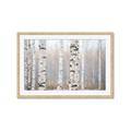 Picture of Birch forest in fog I _GroupedProduct_Rectangle_Landscape_Photography _GroupedProduct_Rectangle_Landscape_Framed_Matted_