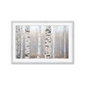 Picture of Birch forest in fog I _GroupedProduct_Rectangle_Landscape_Photography _GroupedProduct_Rectangle_Landscape_Framed_Matted_