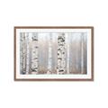 Picture of Birch forest in fog I _GroupedProduct_Rectangle_Landscape_Photography _GroupedProduct_Rectangle_Landscape_Framed_Matted_