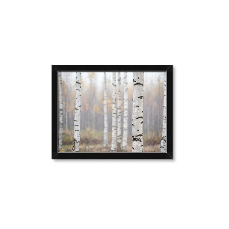 Picture of Birch forest in fog II _GroupedProduct_Rectangle_Landscape_Photography _GroupedProduct_Rectangle_Landscape_Framed_Matted_