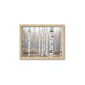 Picture of Birch forest in fog II _GroupedProduct_Rectangle_Landscape_Photography _GroupedProduct_Rectangle_Landscape_Framed_Matted_