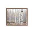 Picture of Birch forest in fog II _GroupedProduct_Rectangle_Landscape_Photography _GroupedProduct_Rectangle_Landscape_Framed_Matted_