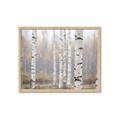 Picture of Birch forest in fog II _GroupedProduct_Rectangle_Landscape_Photography _GroupedProduct_Rectangle_Landscape_Framed_Matted_