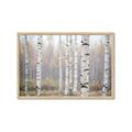 Picture of Birch forest in fog II _GroupedProduct_Rectangle_Landscape_Photography _GroupedProduct_Rectangle_Landscape_Framed_Matted_