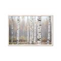 Picture of Birch forest in fog II _GroupedProduct_Rectangle_Landscape_Photography _GroupedProduct_Rectangle_Landscape_Framed_Matted_