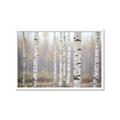 Picture of Birch forest in fog II _GroupedProduct_Rectangle_Landscape_Photography _GroupedProduct_Rectangle_Landscape_Framed_Matted_