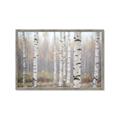 Picture of Birch forest in fog II _GroupedProduct_Rectangle_Landscape_Photography _GroupedProduct_Rectangle_Landscape_Framed_Matted_