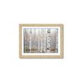 Picture of Birch forest in fog II _GroupedProduct_Rectangle_Landscape_Photography _GroupedProduct_Rectangle_Landscape_Framed_Matted_
