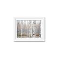 Picture of Birch forest in fog II _GroupedProduct_Rectangle_Landscape_Photography _GroupedProduct_Rectangle_Landscape_Framed_Matted_