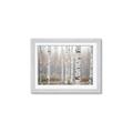 Picture of Birch forest in fog II _GroupedProduct_Rectangle_Landscape_Photography _GroupedProduct_Rectangle_Landscape_Framed_Matted_