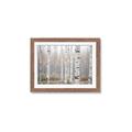 Picture of Birch forest in fog II _GroupedProduct_Rectangle_Landscape_Photography _GroupedProduct_Rectangle_Landscape_Framed_Matted_