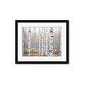 Picture of Birch forest in fog II _GroupedProduct_Rectangle_Landscape_Photography _GroupedProduct_Rectangle_Landscape_Framed_Matted_