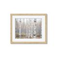 Picture of Birch forest in fog II _GroupedProduct_Rectangle_Landscape_Photography _GroupedProduct_Rectangle_Landscape_Framed_Matted_