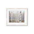 Picture of Birch forest in fog II _GroupedProduct_Rectangle_Landscape_Photography _GroupedProduct_Rectangle_Landscape_Framed_Matted_