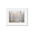 Picture of Birch forest in fog II _GroupedProduct_Rectangle_Landscape_Photography _GroupedProduct_Rectangle_Landscape_Framed_Matted_