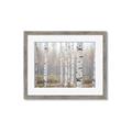 Picture of Birch forest in fog II _GroupedProduct_Rectangle_Landscape_Photography _GroupedProduct_Rectangle_Landscape_Framed_Matted_