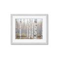 Picture of Birch forest in fog II _GroupedProduct_Rectangle_Landscape_Photography _GroupedProduct_Rectangle_Landscape_Framed_Matted_