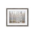 Picture of Birch forest in fog II _GroupedProduct_Rectangle_Landscape_Photography _GroupedProduct_Rectangle_Landscape_Framed_Matted_
