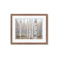 Picture of Birch forest in fog II _GroupedProduct_Rectangle_Landscape_Photography _GroupedProduct_Rectangle_Landscape_Framed_Matted_