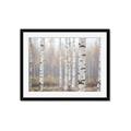 Picture of Birch forest in fog II _GroupedProduct_Rectangle_Landscape_Photography _GroupedProduct_Rectangle_Landscape_Framed_Matted_