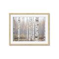 Picture of Birch forest in fog II _GroupedProduct_Rectangle_Landscape_Photography _GroupedProduct_Rectangle_Landscape_Framed_Matted_
