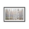 Picture of Birch forest in fog II _GroupedProduct_Rectangle_Landscape_Photography _GroupedProduct_Rectangle_Landscape_Framed_Matted_