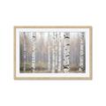 Picture of Birch forest in fog II _GroupedProduct_Rectangle_Landscape_Photography _GroupedProduct_Rectangle_Landscape_Framed_Matted_