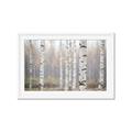Picture of Birch forest in fog II _GroupedProduct_Rectangle_Landscape_Photography _GroupedProduct_Rectangle_Landscape_Framed_Matted_