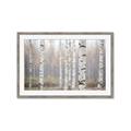 Picture of Birch forest in fog II _GroupedProduct_Rectangle_Landscape_Photography _GroupedProduct_Rectangle_Landscape_Framed_Matted_